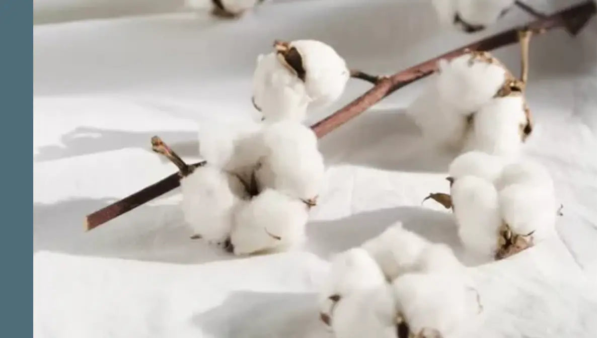 Clean Cotton & Fresh Linen

A gently masculine scent that balances fresh cotton blossom with grounding notes of sage, patchouli, and cedar - comforting, familiar, and effortlessly clean.